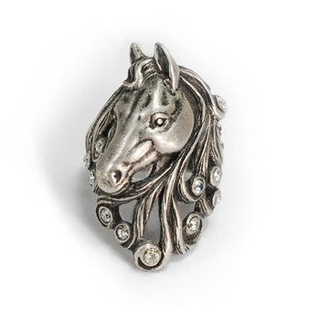 Pony Divine Horse Ring