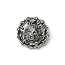 Load image into Gallery viewer, Lion Medallion Pin P654