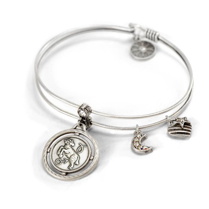 Zodiac Bangle BR369