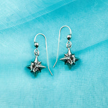 Load image into Gallery viewer, Delicate Dainty Star Earrings E1496